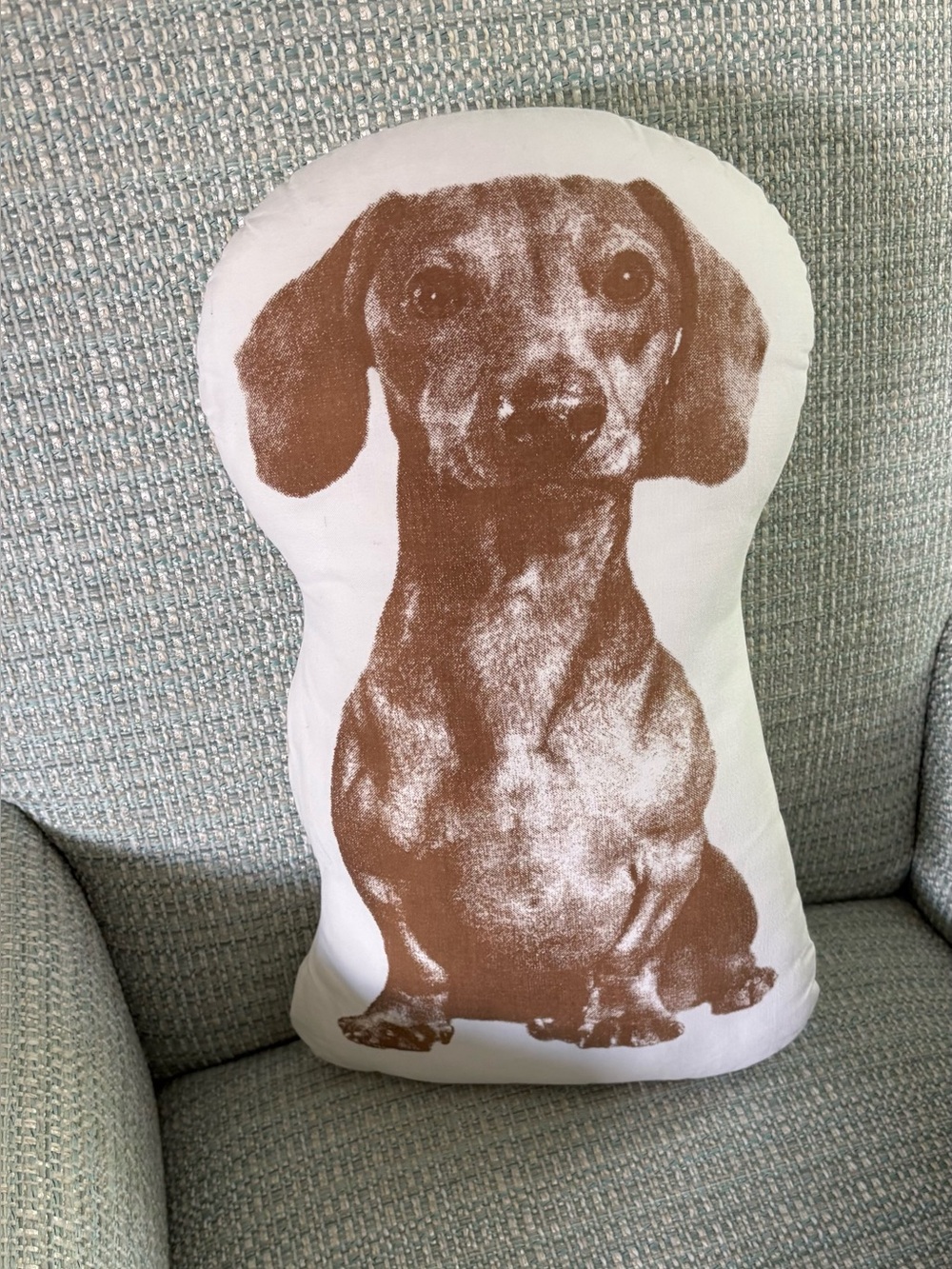 Areaware Dachshund pillow